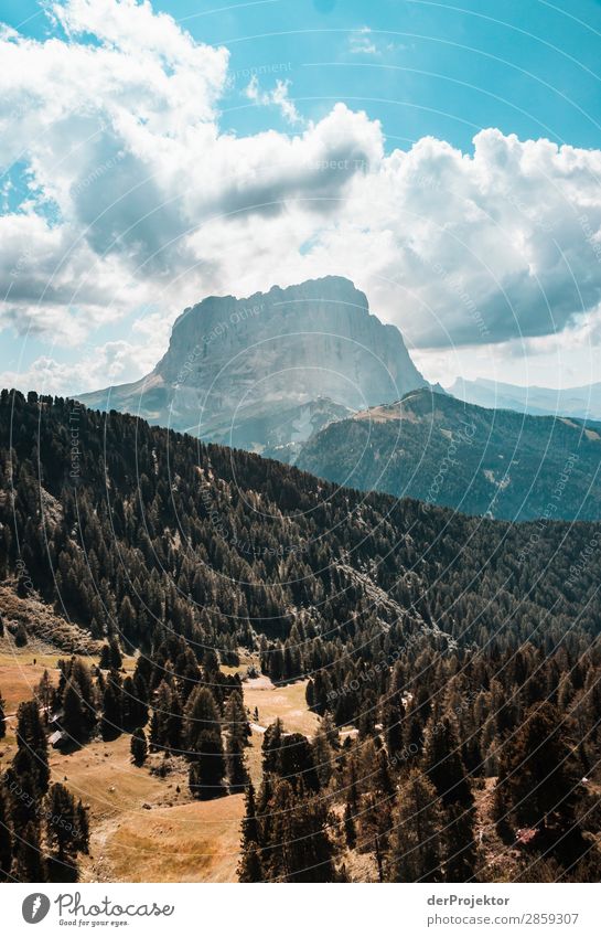 Clouds and shadows in the Dolomites with forest in portrait format Central perspective Deep depth of field Sunbeam Sunlight Light (Natural Phenomenon)