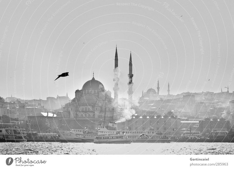 New Mosque Coast Bay Ocean Town Manmade structures Building Tourist Attraction Old Famousness Historic Istanbul Turkey The Bosphorus Watercraft House of worship