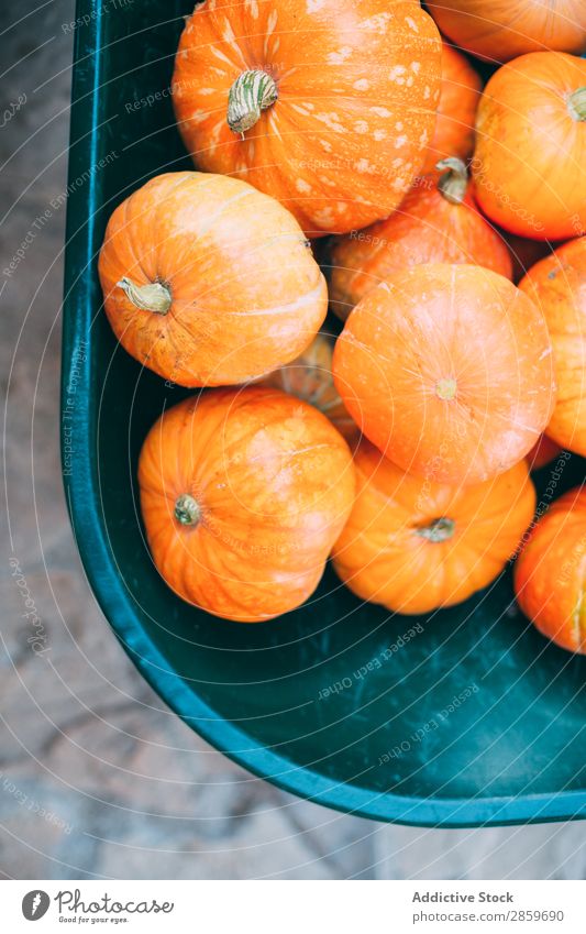 Pumpking in wheelbarrow Autumn Feasts & Celebrations Copy Space Decoration Food Fruit Hallowe'en Harvest October Orange Rustic Fear Spooky Vegetarian diet