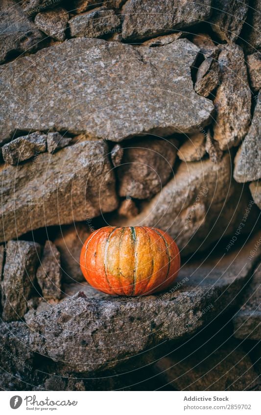 Pumpking with a stone wall background Autumn Feasts & Celebrations Copy Space Decoration Food Fruit Hallowe'en Harvest October Orange Rustic Fear Spooky