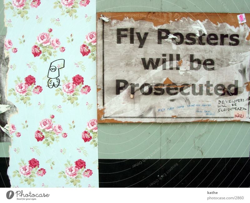 fly poster Poster Flower Green Mint green Text Rose Characters graffiti