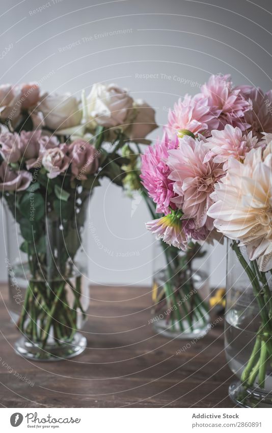 Bunches of flowers in vases on table Flower Table bunch kitchenware Bouquet Vase Water Wall (building) White Wood Grunge Glass Fresh Retro Plant Interior design