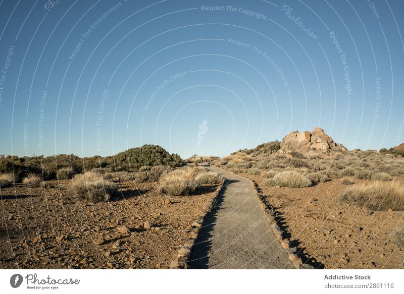 Small walkway in desert Nature Lanes & trails Vacation & Travel Landscape Corridor Sand Tourism Hill Hiking Dry Rock Plant Beautiful weather Adventure Wild