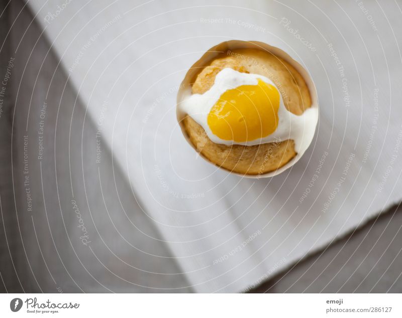 egg sunny side up Food Dairy Products Candy Egg Fried egg sunny-side up Muffin Cream Nutrition Delicious Funny Yellow Colour photo Detail Copy Space left