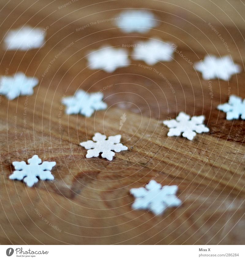 first snow Winter Ice Frost Snow Cold Snowflake Snow crystal Wood Decoration Christmas decoration Colour photo Close-up Pattern Deserted Shallow depth of field