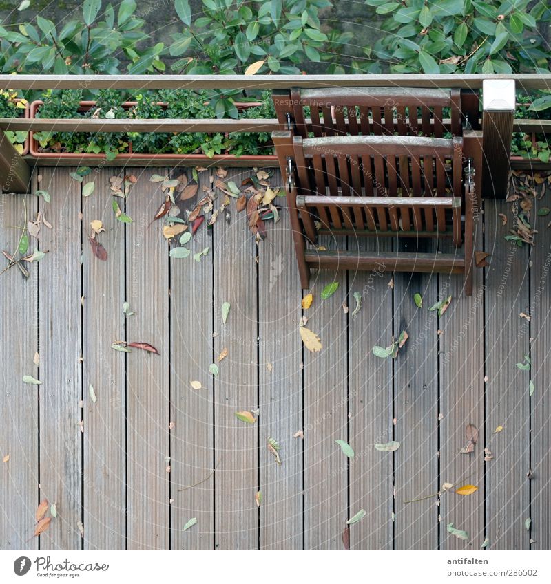 Neighbour's Terrace Nature Plant Autumn Weather Beautiful weather Bad weather Rain Tree Bushes Leaf House (Residential Structure) Garden Chair Outdoor furniture