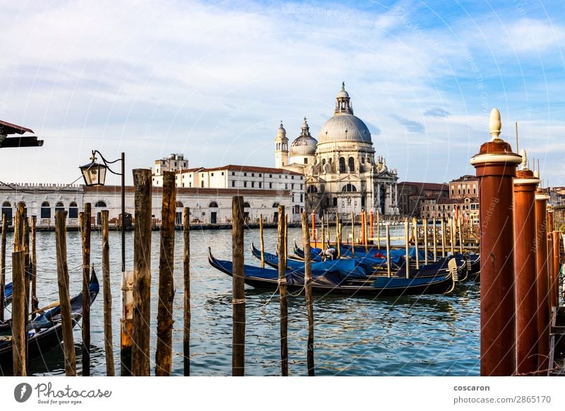 Empty gondolas floating on a lagoon of Venice, Italy Lifestyle Vacation & Travel Tourism Trip Summer Ocean Winter Carnival Landscape Sky Small Town Capital city