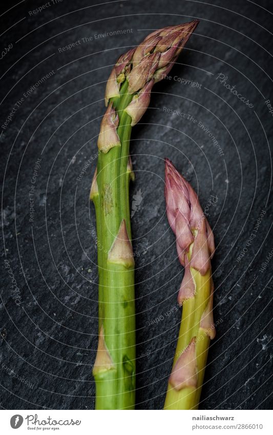 Fresh Green Asparagus asparagus green asparagus vegetable fresh raw kitchen preparing cooking preparation wet bowl slate plate decoration decorative decorated