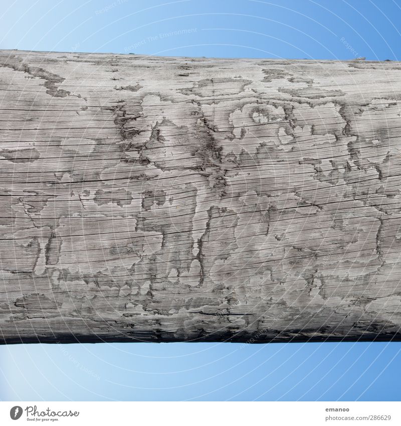 Wood in the sky Plant Sky Tree Natural Round Blue Line Structures and shapes Map Wooden stake Texture of wood Wooden board Tree trunk Pole Gray