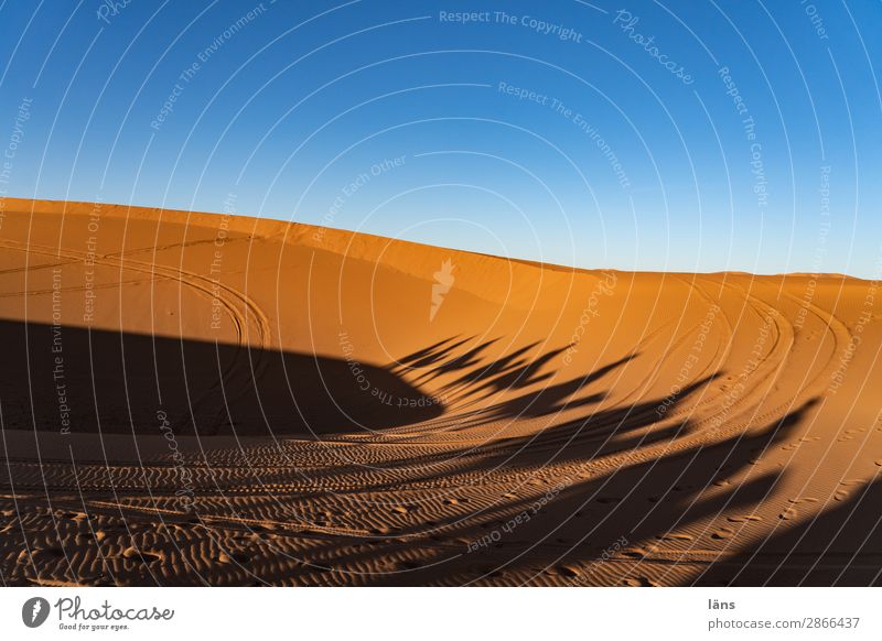 Caravan lll Morocco Desert Dromedary Camel Shadow Sand caravan