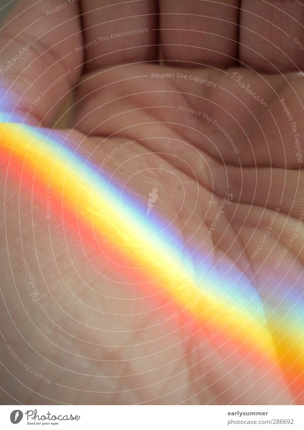 Rainbow in hand Hand LGBTQ Skin Touch To enjoy Dream pretty Blue Multicoloured Yellow Green Violet Orange Red Happy Life Hope Wrinkle Fingers Life line Age Old