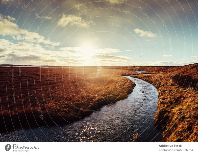 River running between stones Stone Iceland Coast Plant Rock Running Autumn Narrow Water Dry Landscape Nature Calm Tourism Vacation & Travel scenery Wild Glade