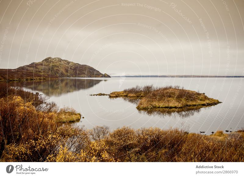 Wonderful lake and shore with hill Lake Hill Coast Cliff Picturesque Iceland Stone Grass Water Dry Sky Clouds Surface Vantage point Nature Vacation & Travel