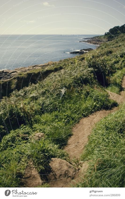 path to follow Environment Nature Landscape Plant Elements Earth Water Sky Horizon Summer Beautiful weather Grass Bushes Foliage plant Meadow Hill Waves Coast