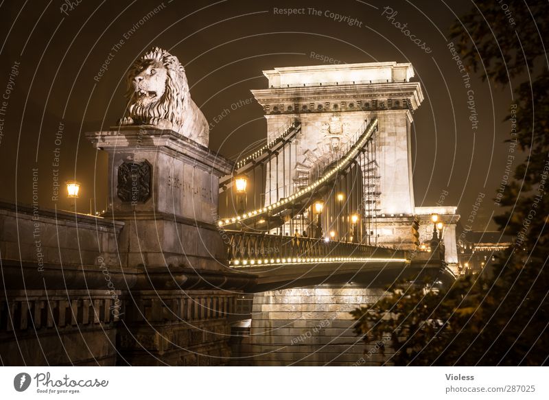 bad weather in budapest Capital city Old town Bridge Building Architecture Tourist Attraction Landmark Monument Illuminate Vacation & Travel Looking Famousness