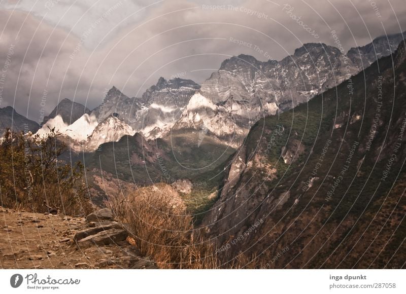 Tiger Canyon Environment Nature Landscape Grass Rock Mountain Peak China Yunnan Asia Lanes & trails Vantage point Himalayas High mountain region National Park