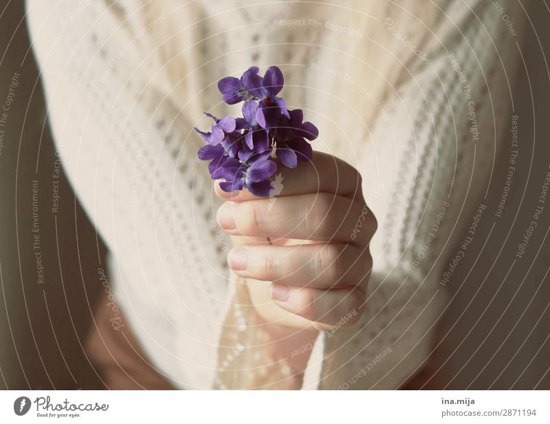 For YOU! Human being Feminine Young woman Youth (Young adults) Woman Adults Mother Life Plant Flower Blossom Forget-me-not Violet Gift Mother's Day Colour photo