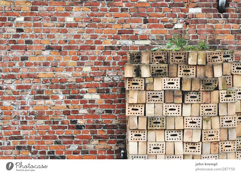 No one intends to build a wall. Town House (Residential Structure) Manmade structures Architecture Wall (barrier) Wall (building) Facade Brick wall Brick red