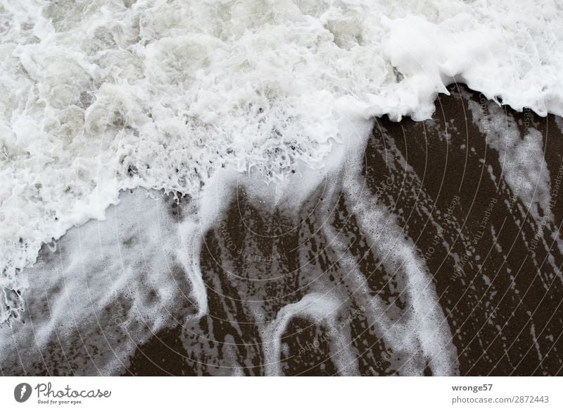 surf wave Nature Sand Water Wind Gale Waves Coast Beach Baltic Sea Threat Fluid Maritime Wet Gray Black White Surface of water Ocean Bird's-eye view