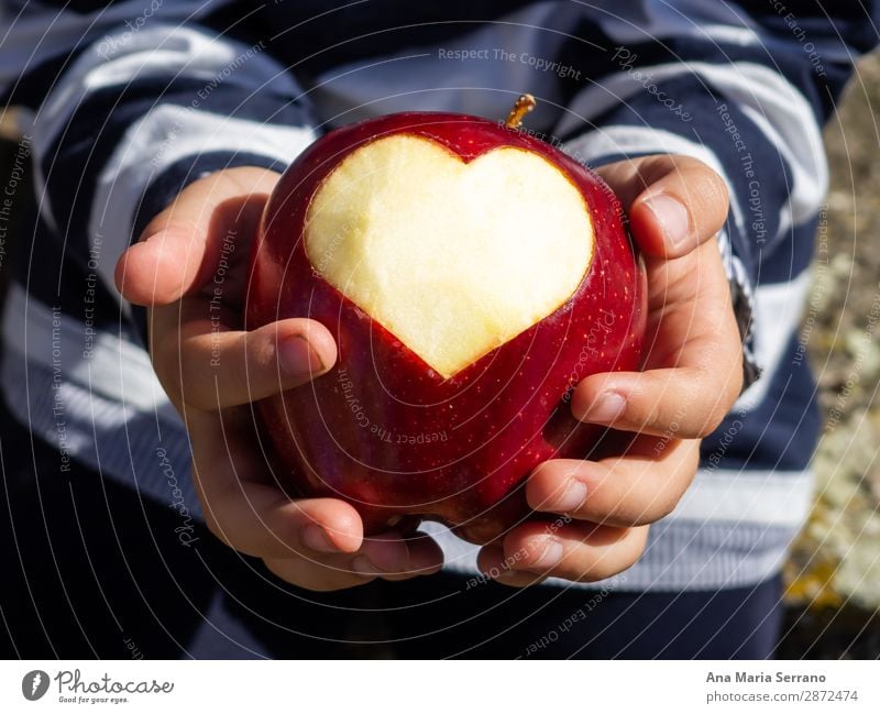 A child with a red apple in his hands Fruit Apple Nutrition Organic produce Diet Lifestyle Health care Healthy Eating Overweight Wellness Child Hand Heart