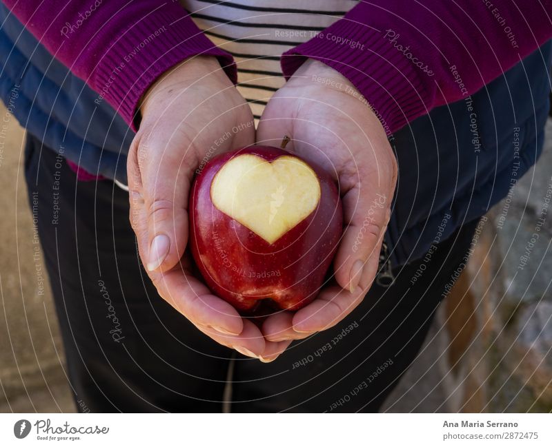 A person with a red apple in his hands Fruit Apple Nutrition Organic produce Diet Lifestyle Health care Healthy Eating Overweight Wellness Human being Hand