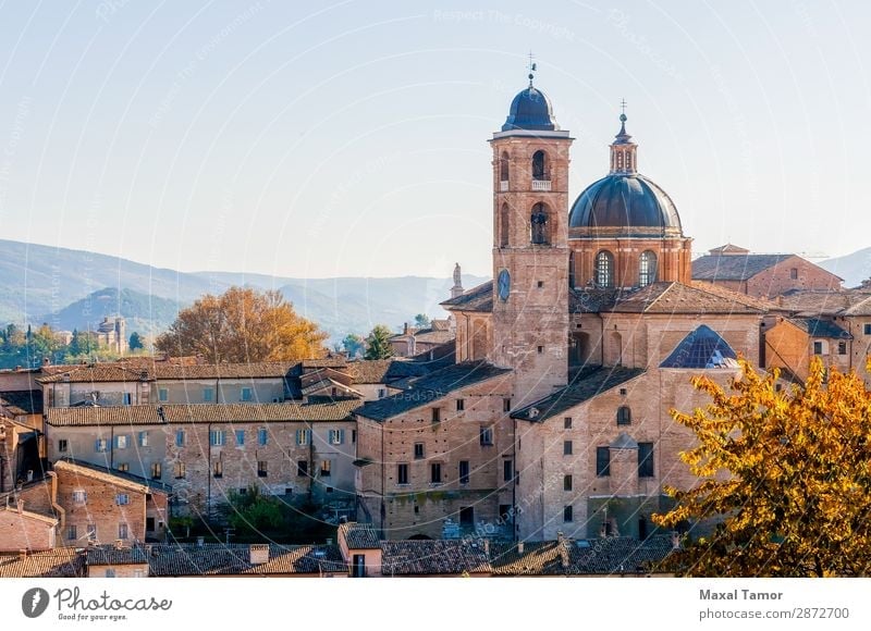 Cathedral of Urbino Vacation & Travel Tourism Academic studies Culture Landscape Town Church Palace Building Architecture Monument Stone Old Historic White