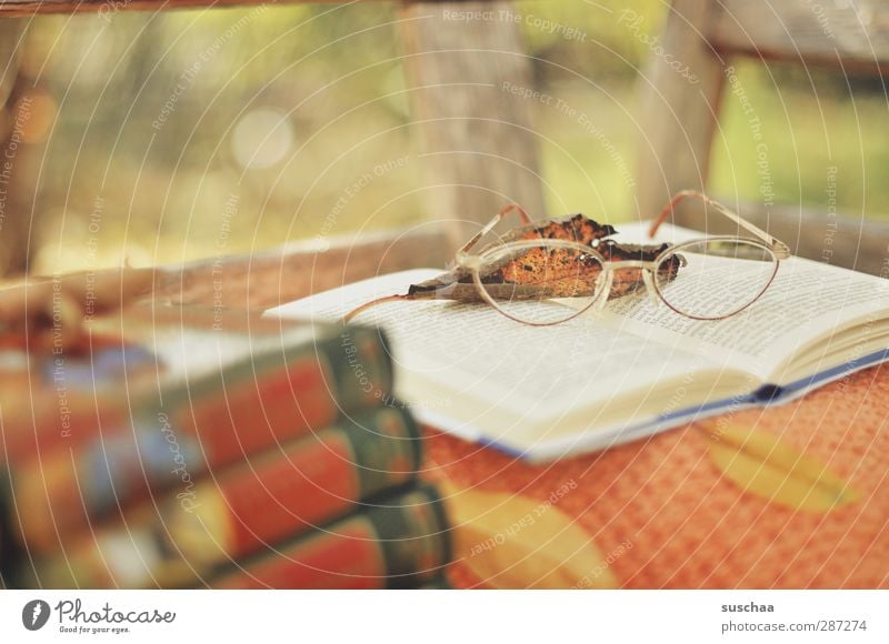 reading time Well-being Calm Leisure and hobbies Wood Glass Paper Eyeglasses Leaf Book Reading Bench Garden Break Colour photo Exterior shot Deserted