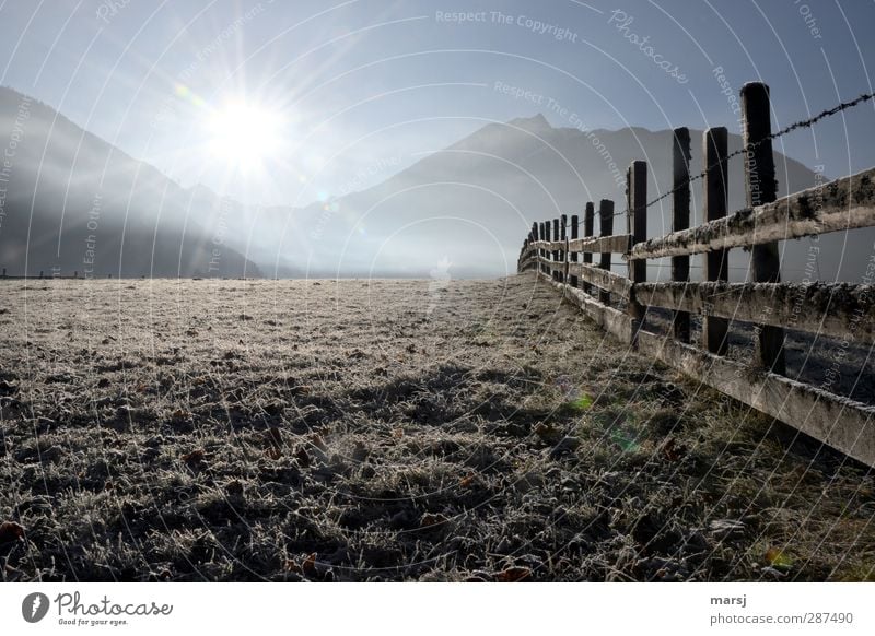 November morning Nature Landscape Sky Cloudless sky Sun Sunrise Sunset Sunlight Autumn Beautiful weather Ice Frost Grass Meadow Illuminate Blue Brown