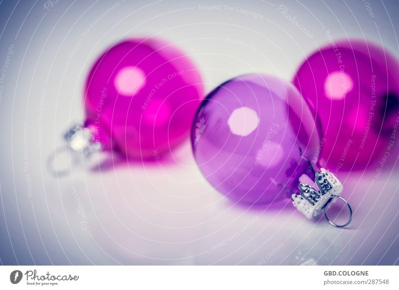 Tree wanted (2) Christmas & Advent Decoration Kitsch Odds and ends Glass Modern Round Violet Pink Winter mood Fragile Transparent Fastening December
