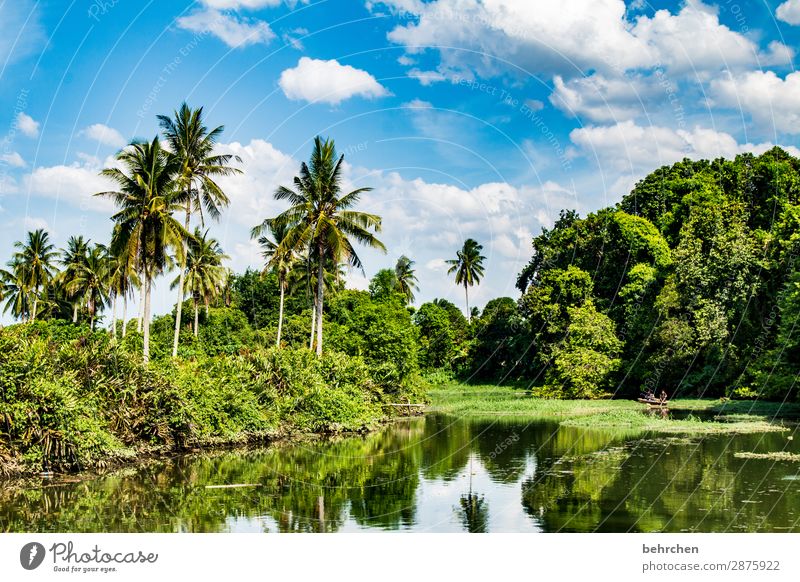 idyllic Vacation & Travel Tourism Trip Adventure Far-off places Freedom Environment Nature Landscape Sky Clouds Plant Tree Bushes Leaf Virgin forest River bank