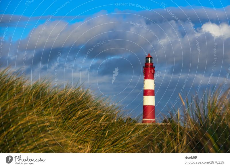 Lighthouse in Wittdün on the island Amrum Relaxation Vacation & Travel Tourism Island Nature Landscape Clouds Autumn Coast North Sea Architecture