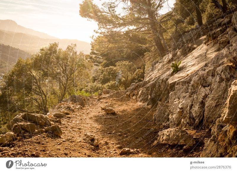 Mediterranean Hiking Trail Vacation & Travel Trip Adventure Expedition Camping Summer Summer vacation Island Mountain Nature Landscape Sand Forest Hill Rock
