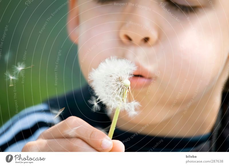 This has hand and foot Child Infancy Face 1 Human being 3 - 8 years Green Black White Joy Blow Dandelion Hand Mouth Colour photo Day Blur Shallow depth of field