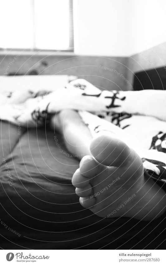 monday morning Bedroom Masculine Feet 1 Human being Lie Sleep Calm Exhaustion Serene Bedclothes Sheet Window Legs Toes Reluctance Black & white photo