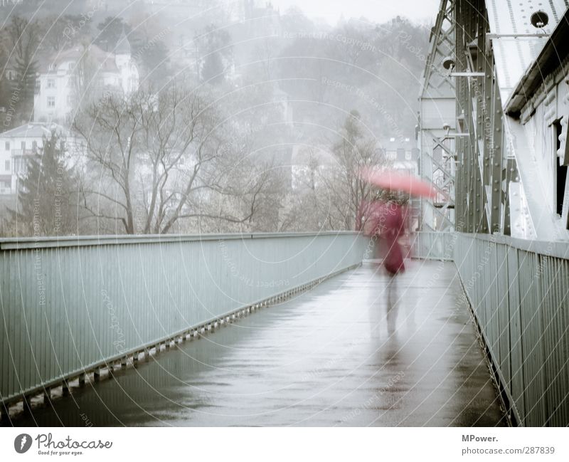 Rainy Days Human being Feminine Woman Adults Back Legs 1 18 - 30 years Youth (Young adults) Wind Fog Bridge Manmade structures Umbrella Walking Running Gloomy