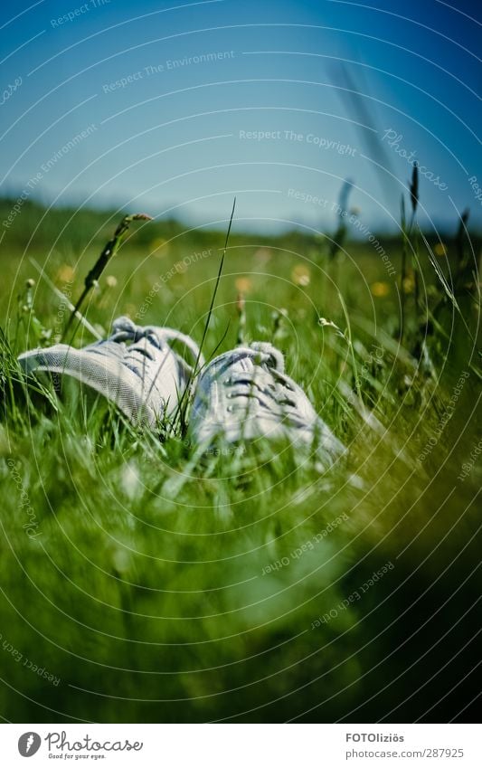 Summer where are you Nature Landscape Plant Sky Cloudless sky Meadow Footwear Moody Joy Freedom Leisure and hobbies Barefoot Colour photo Deserted