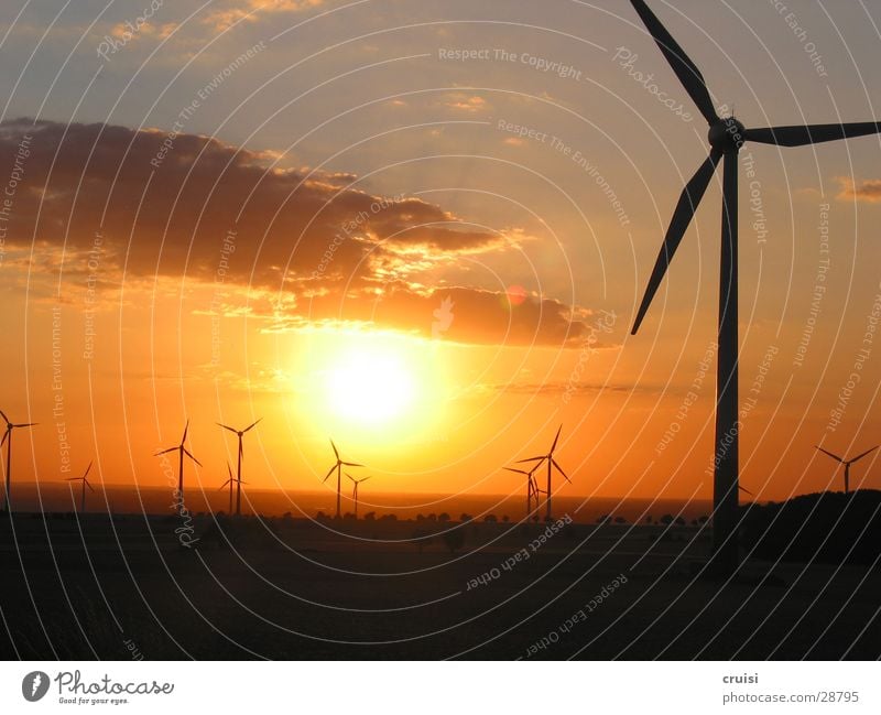 Sunset at the wind Romance Dark Wind energy plant Clouds Evening Orange Gold