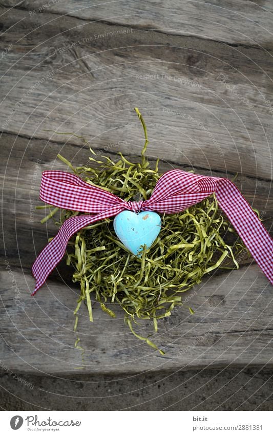 Blue heart with bow, on a wooden background in the Easter nest. Feasts & Celebrations Valentine's Day Mother's Day Nature Grass Moss Decoration Bow Kitsch