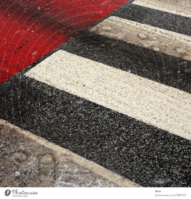crossing Winter Deserted Transport Traffic infrastructure Street Lanes & trails Town Gray Red White Zebra crossing street crossing Footprint Snow mud Striped