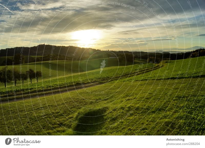 In the morning Environment Nature Landscape Plant Sky Clouds Sun Sunrise Sunset Sunlight Summer Weather Beautiful weather Tree Grass Moss Meadow Field Forest