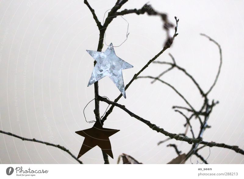star chart Decoration Christmas & Advent Stars Wood Metal Sign Glittering Hang Esthetic Sharp-edged Gray Black Silver White Anticipation Design Elegant