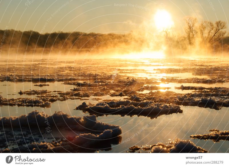 ice cream cream Nature Landscape Water Sky Sun Sunrise Sunset Sunlight Winter Ice Frost River Elbe Germany Saxony-Anhalt Deserted Cold Wet Natural Yellow