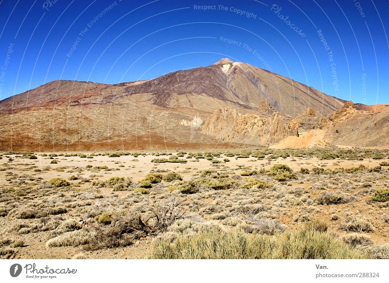 Teide III Vacation & Travel Hiking Nature Landscape Earth Cloudless sky Plant Bushes Rock Mountain Peak Volcano Tenerife Tall Blue Brown Sparse Colour photo
