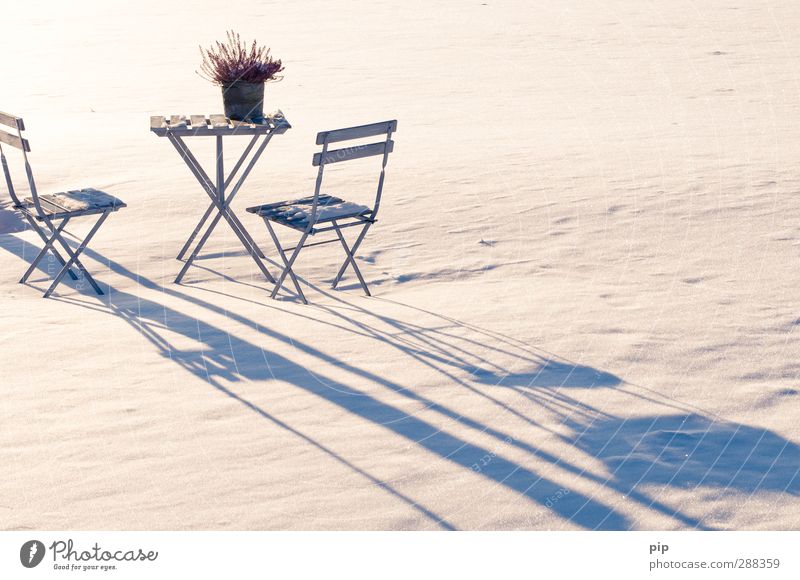 winter break Chair Table Garden chair Beer table Nature Winter Snow Dianthus deltoides Cold Idyll Shadow Loneliness Snow layer Colour photo Subdued colour