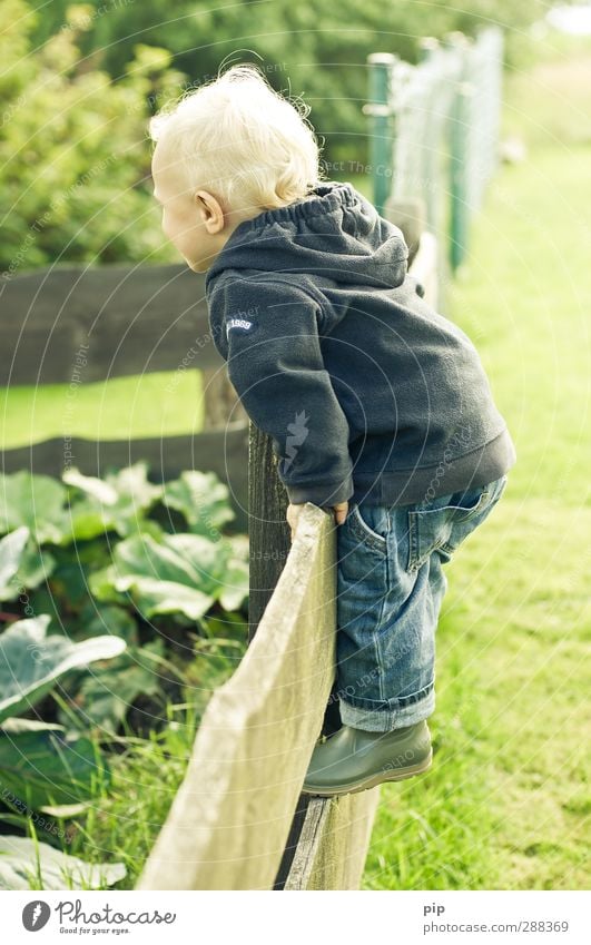 sound out boundaries Child Boy (child) Infancy Hair and hairstyles 1 Human being 1 - 3 years Toddler Nature Landscape Spring Beautiful weather Garden Meadow
