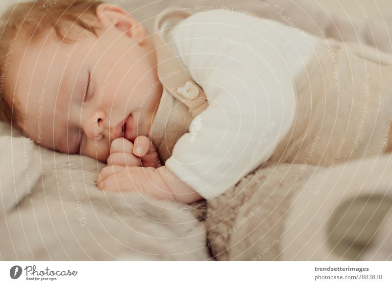 Portrait of a newborn baby sleeping Beautiful Face Life Child Baby Infancy Sleep Dream Small Natural New Cute Soft White Innocent Newborn blanket Caucasian kid