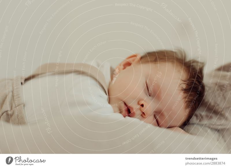 Portrait of a newborn baby sleeping Beautiful Face Life Child Baby Infancy Sleep Dream Small Natural New Cute Soft White Innocent Newborn blanket Caucasian kid