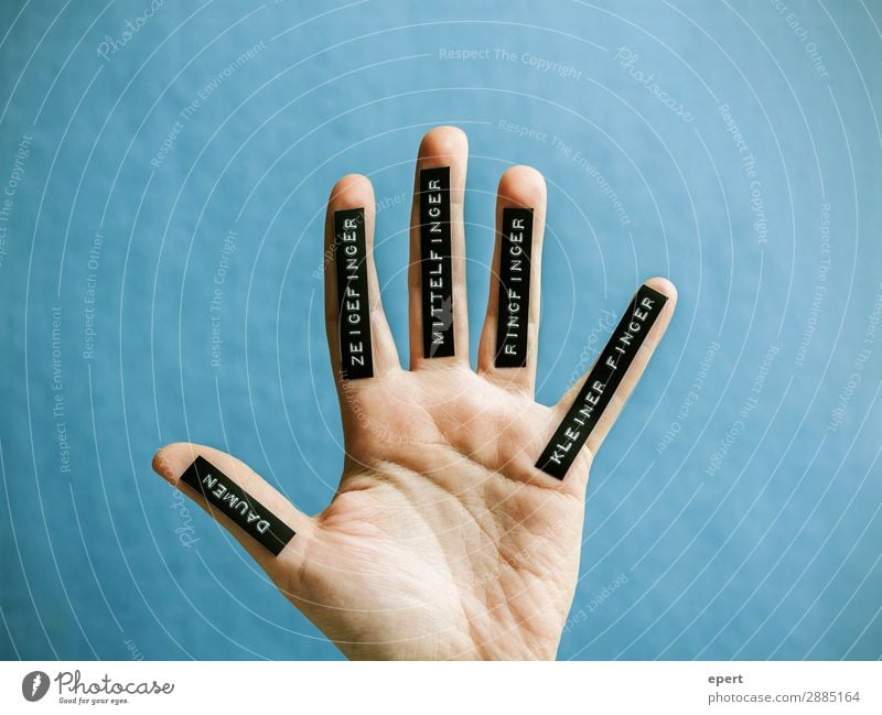 handwriting Hand Fingers Characters Signs and labeling Idea Arrangement Label Thumb Forefinger Middle finger Ring finger Little finger Lettering Colour photo