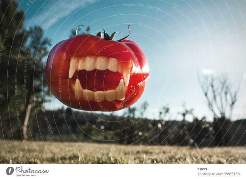 Attack of the meat tomato Vegetable Catch To feed Jump Aggression Threat Creepy Trashy Crazy Wild Dangerous Bizarre Whimsical Vampire Teeth Bite Tomato