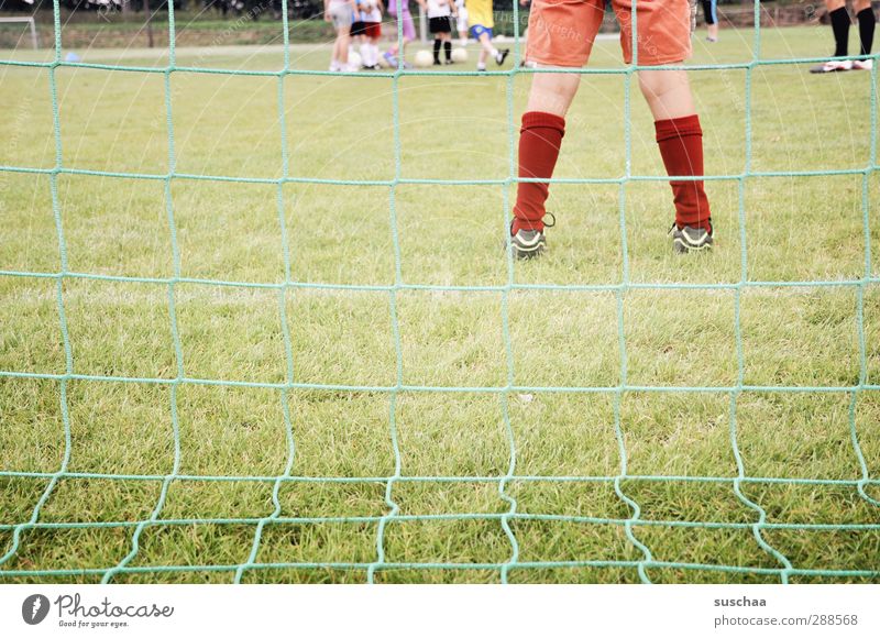 She stands in the goal - in the goal - in the goal ... Playing Sports Sports team Goalkeeper Football pitch Masculine Androgynous Child Girl Infancy